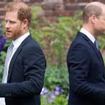 EPHRAIM HARDCASTLE Could William and Harry be reunited at the
